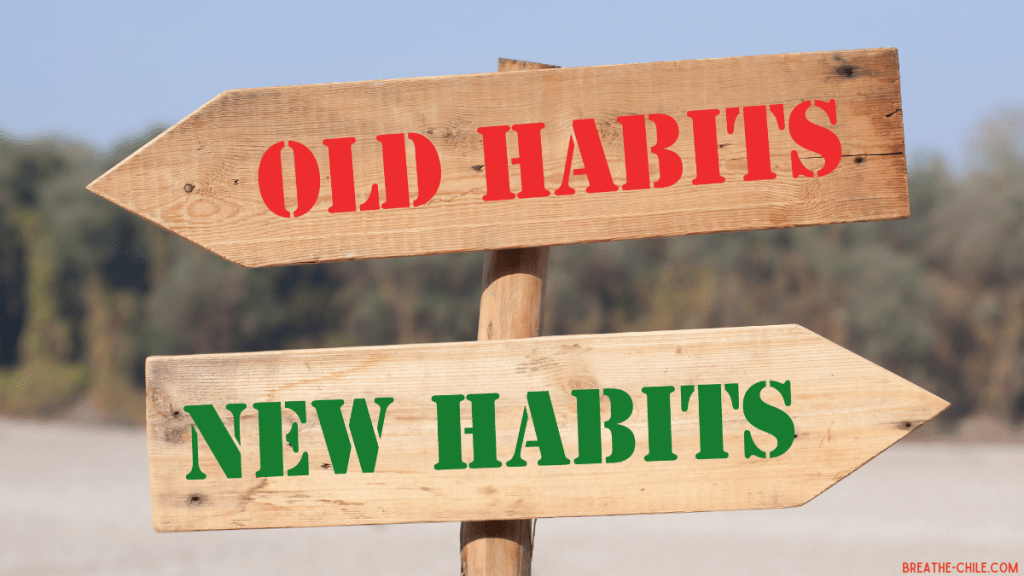 - Your Guide to a Healthy Lifestyle