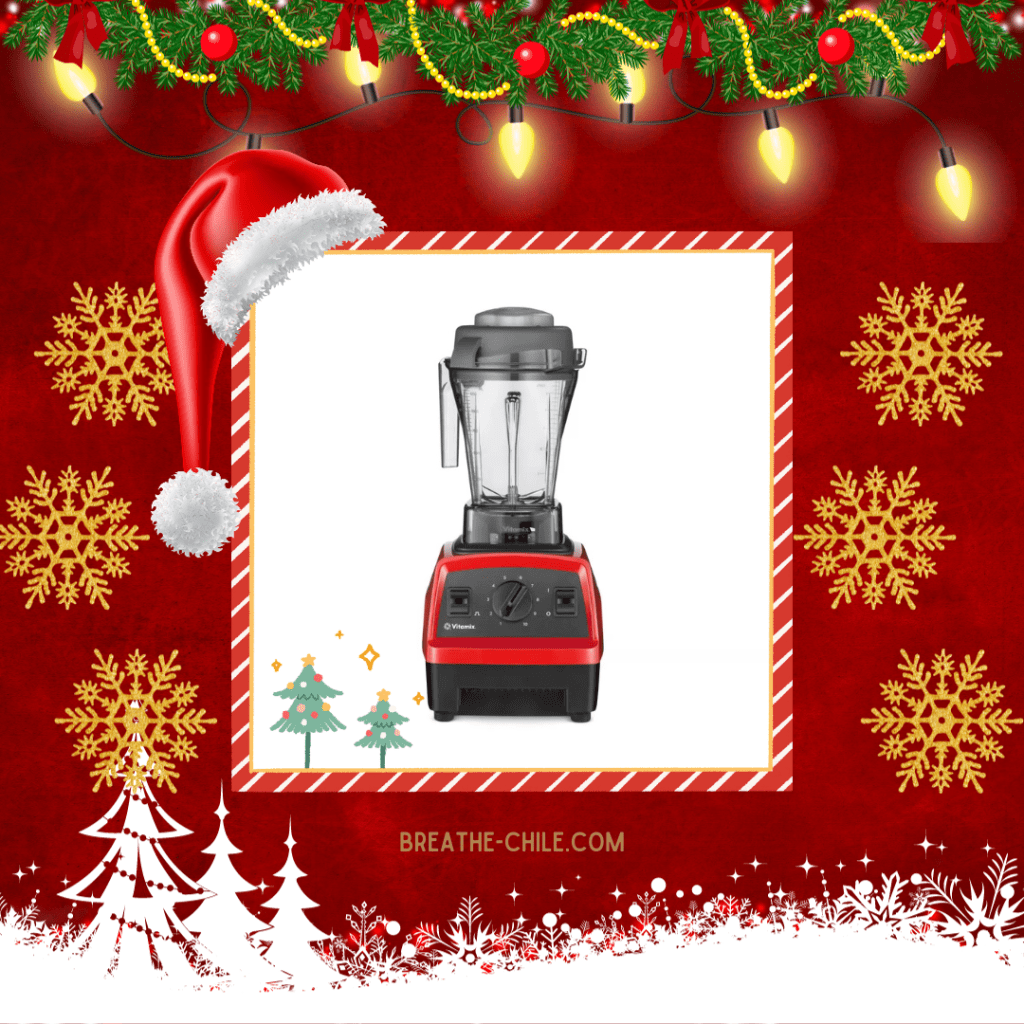 Vitamix Explorian Series E310 10 Speed Blender Black